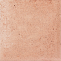 30819 Raku Nude 10x10 EQUIPE
