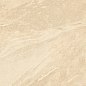 1209 Calcare Ivory Matt 120x60 Artcer фото в миниатюре 3