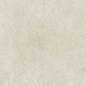 778707 Stone Life Shell Matte Ret 6mm 120x280 Cerim