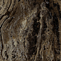 M0FX Grande Marble Look Frappuccino Rett. 120х240 MARAZZI Italy