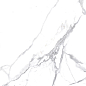 Calacatta Splendid Silver Белый Полированный 80х80 Ceradim