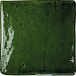 128210 ROOTS Olive S Gloss 11x11 WOW