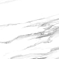 60120STA15P Statuario Silver 60x120 LCM
