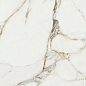 Ravena Pulido Rect. 80x80 Benadresa