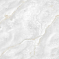N12048 Florim Onyx Polished 60x120 Neodom