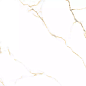 PR126 Bellevue Gold Polished 600х600х9 PrimaVera
