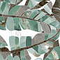 Paola Bali Bianco Polished Carving 60x120 ITC