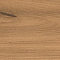 AX5Y Log Amber Oak Forest Matte 20x180 Atlas Concorde