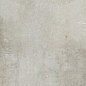 Teknostone Light Grey 60х120 Ariostea