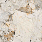 BHW-0042 Phoenix full body polished (gold) 60x120 Basconi Home