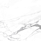 Carrara Terrific Silver Белый Матовый 60х120 Ceradim