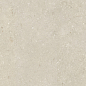 005848 Shellstone Beige 120x120 Dado Ceramica