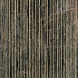 1069633 Fossil Lines Gold Piombo 30x120 Serenissima Cir