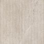 DNWS211 New Stone Daino Rigatino 60x120 Dado Ceramica