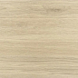 NR12060419-M Вуд Коричневый светлый матовый 1200x600x9.5 ProGRES Ceramica фото в миниатюре