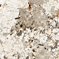774889 Nature Mood Tundra Glossy 6mm 120x120 Casa Dolce Casa
