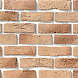 Кембридж 13-05 рядовая 240х70х10 Ecostone