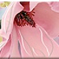 Border Boho Magnolia 63x7,5 Azori