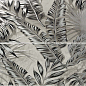 A036490 Decor Set (2) Rex Pearl 25x75 Ape Ceramica