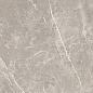 766528 Elemental Grey Dolomia Luc Ret 60x120 Cerim