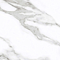 Statuario Eva 1200x600 Velsaa