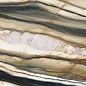 PF60012502 Oyster Gold Lux Ret 60x120 ABK
