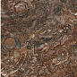 67597 D Rosa V Luxr 60x120 Versace (Gardenia Orchidea)