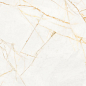 PF60017518 Supreme Hedonism Golden Spider Nat R 60x120 Flaviker