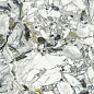 610015000695 F.d.M.Quark Ceppo Apuano Forest Lapp Rett 80x160 Atlas Concorde Russia