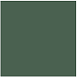 L4418-1Ch Green - Loose 10х10 Top Cer
