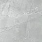 6060AMB15P Armani Marble Gray 60x60 LCM