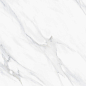 Swizer White Polished 60x120 Staro фото в миниатюре