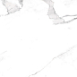 Marble Alexa Satuario 120x60 Artcer
