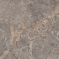 Miltonia Grey 60x120 Realistik