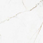 00-00000245 Calcatta Montreal Polish 60х120 BELLEZA