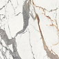 Luxyry Gold 120x270 FMAX фото в миниатюре 5