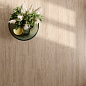 CSAJRD0812 Jardin 08 60x120 Sant Agostino