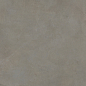 PF60006088 LUCE PELTRO RET 60X120 Ariana