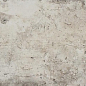 1048187 Chicago South Side XL 20x40 CIR