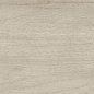 Canus Oak Carving 20x120 Gravita