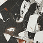 IC307DR I Cocci Grafite Spaccato 30x30 Fioranesе