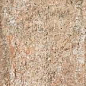 BKN001 Brickone Vecchia Firenze 7,4x31 Dado Ceramica
