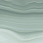 Symmetry Deco Jungle 98.2x98.2 Ceracasa