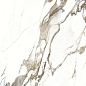 PRO 1127G Aura Oro 600x600 Progres