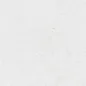 NG19A Talisman White A NG 30x90 PrimaVera фото в миниатюре 3
