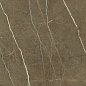 K947001FLPR Marmori Pulpis Бронзовый полированный 60x60 Vitra