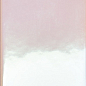 4100730 Rose Hologram Mix 5x25 41ZERO42