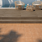 Trunk Honey 23x120 Prissmacer