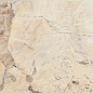 MOG304 Marble Light Beige полированный 60x120x9 Onlygres