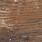 Kiwi Redroot Mat 20x120 Alpas Euro